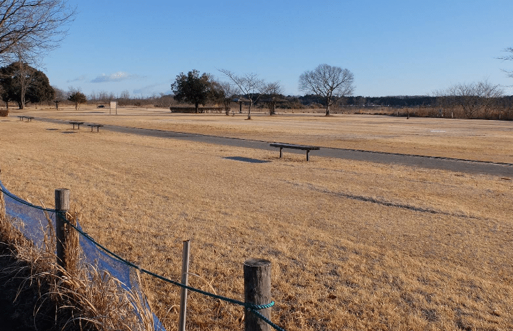 ふれあいビーチ